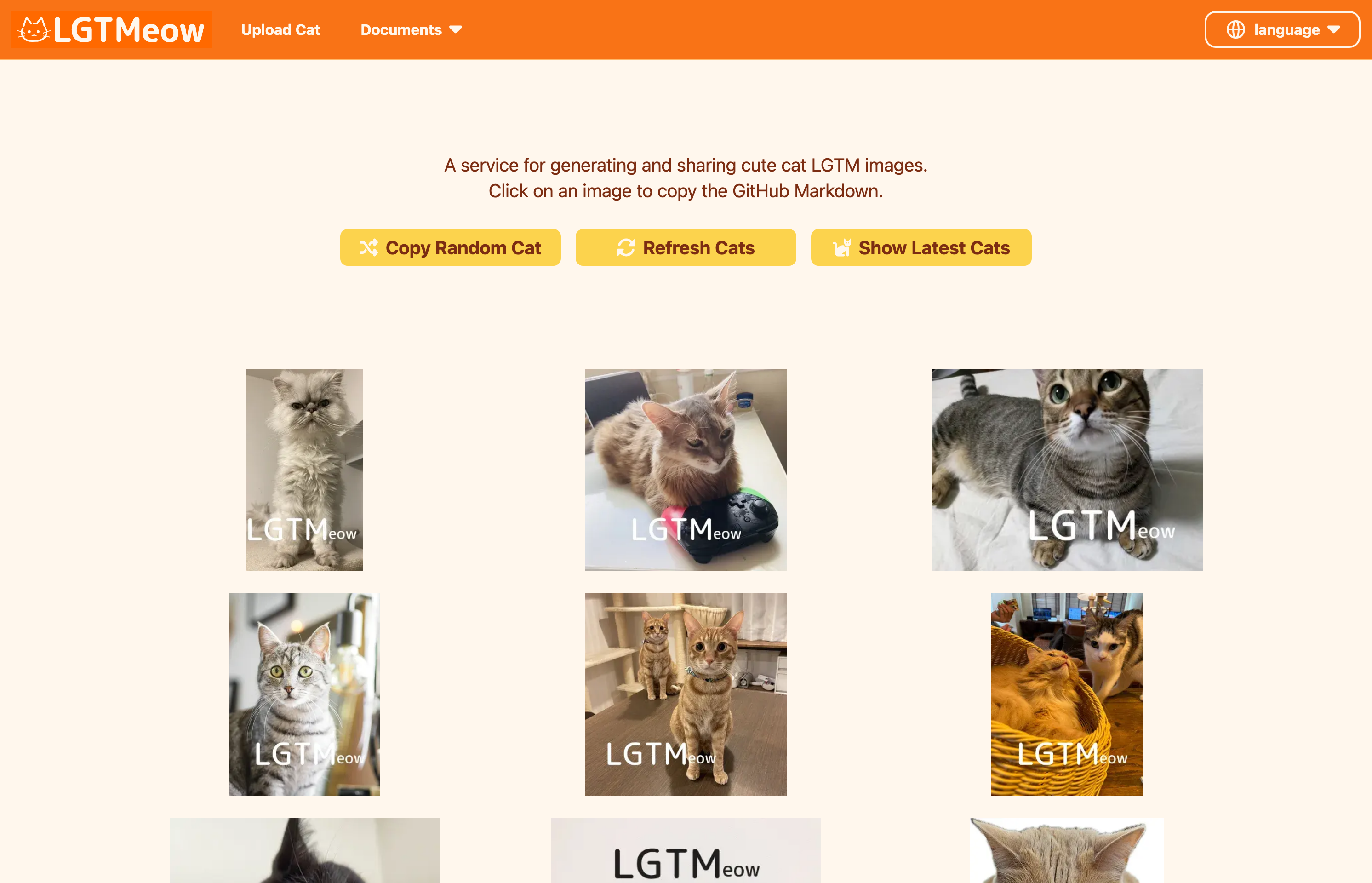 LGTMeow