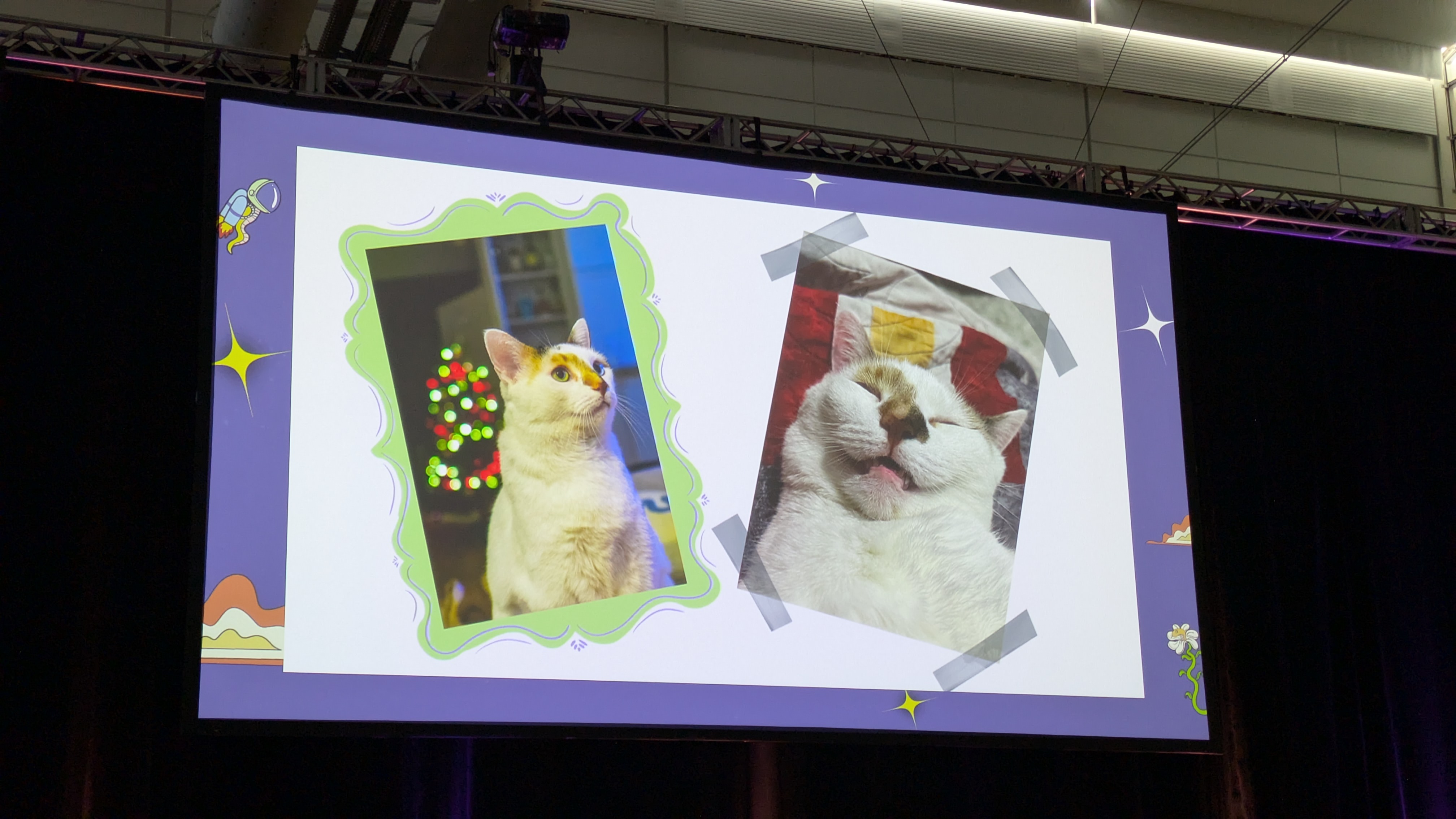 Lynn Root's Cats